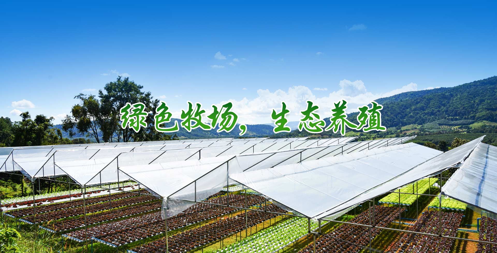 巴東縣將軍山農(nóng)牧開發(fā)有限公司
